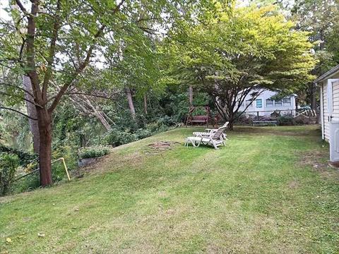 Yard