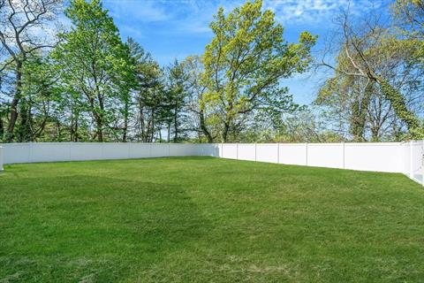 Yard