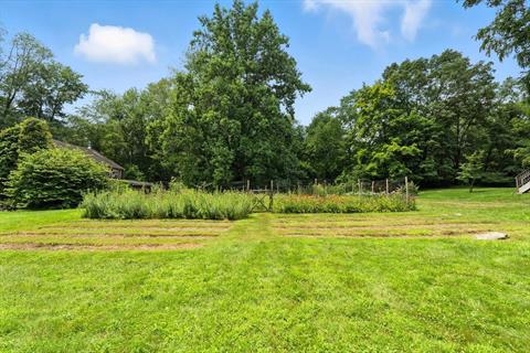 Yard