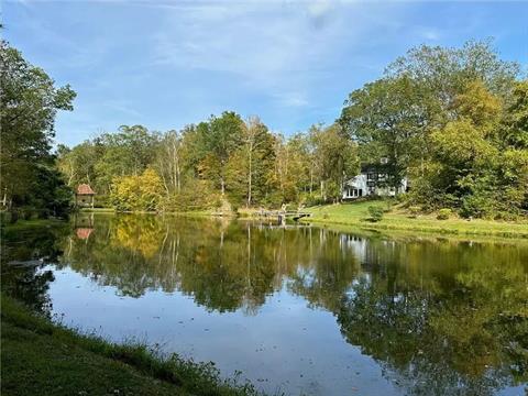 Pond