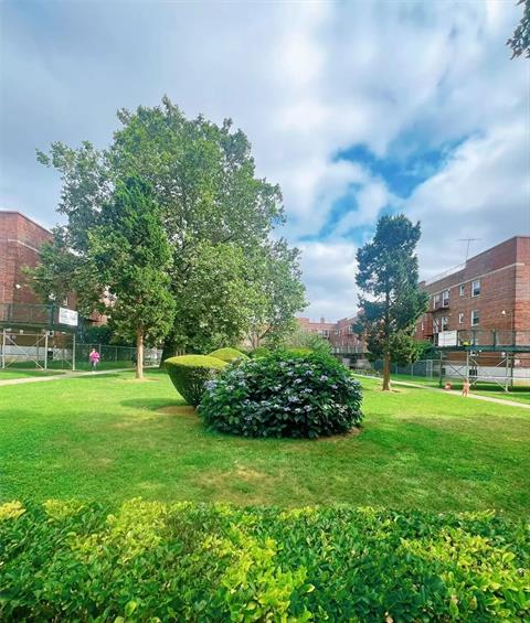 Yard