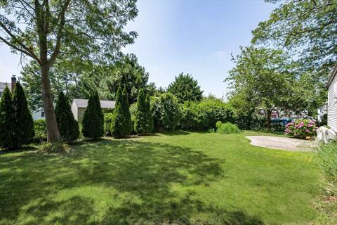 Yard