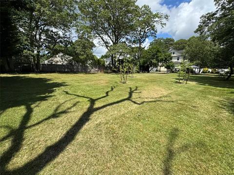 Yard