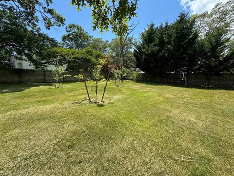 Yard