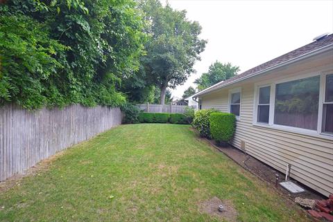Yard