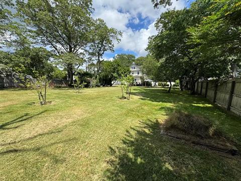 Yard