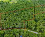 Quiet country, dead end road. Beautiful building lot in Woodbourne NY. Lush forest and flat topography make for the perfect landscape to build the private estate of your choosing. Located in the Town of Fallsburg, Recreational zoning district. TAXID 16.-1-32.9