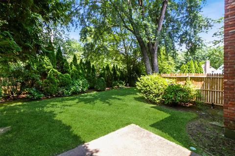 Yard