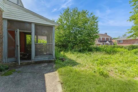 Yard