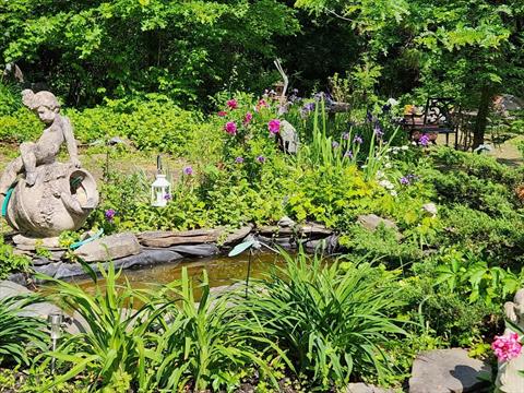 Pond