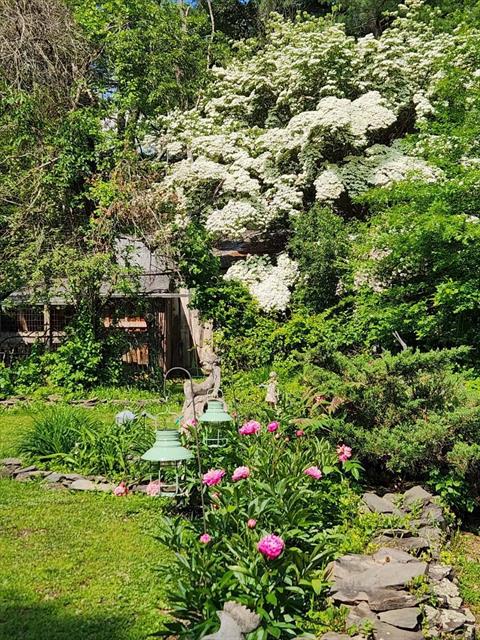 Yard