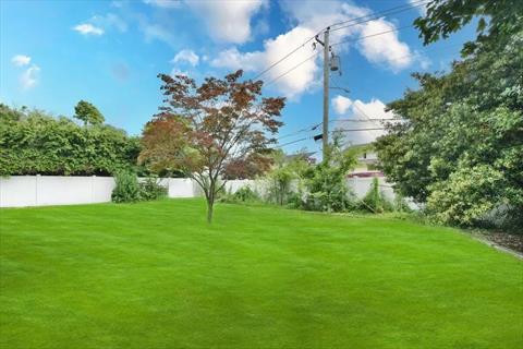 Yard