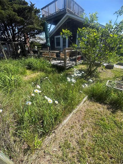 Yard