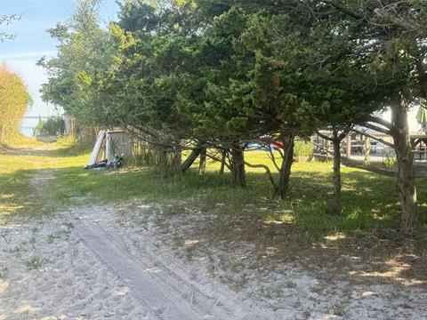 Yard