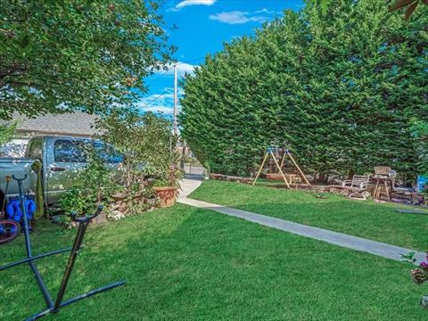 Yard