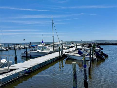 Dock