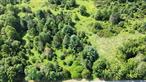 55 Acres of Subdividable Land with Additional Lot â€“ Ready for Development in Pine Bush, NYIncredible opportunity for builders, investors, or developers! This expansive 55-acre parcel at 826 Burlingham Road in Pine Bush offers the potential to subdivide into 2-acre lots, making it ideal for a new residential community, private estates, or long-term investment.The property also includes an additional lot, providing even more value and flexibility. With road frontage, a peaceful setting, and easy access to nearby towns and amenities, this land combines seclusion with convenience.Whether you&rsquo;re planning a large-scale project or looking to hold prime land in the Hudson Valley, this property is ready to go.Donâ€™t miss this one-of-a-kind opportunityâ€”schedule your showing today!
