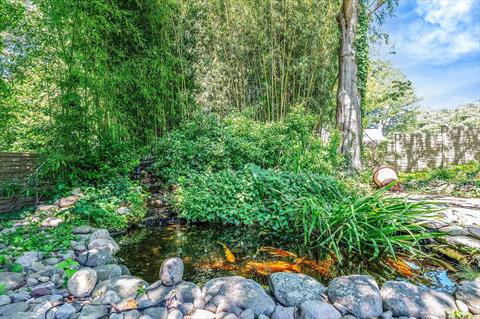 Pond