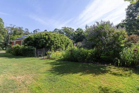 Yard