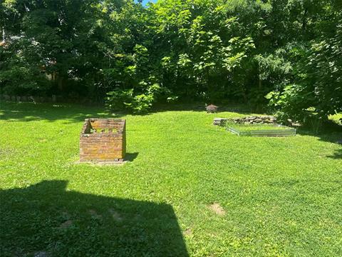 Yard
