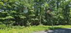 Pretty 5+ Acres! This Nice Parcel Of Land Is Mostly Level With Mature Trees And A Small Stream That Runs Through the Property. Bring You Hiking Shoes To Walk This Property To Appreciate The Beauty Of This Parcel Fully. Situated On A Quiet, Town Maintained Road And Only A Few Minutes&rsquo; Drive To The Charming Hamlet Of Narrowsburg And The Majestic Delaware River. Priced To Sell! Don&rsquo;t Miss Out.