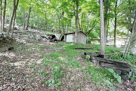Yard
