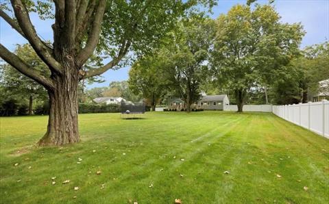 Yard
