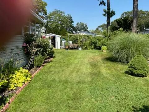 Yard