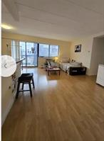 Welcome to a lovely, cozy condo in the heart of trendy Flushing. This condo is modern, bright, convenient, and fresh, with a total of 700 sq. ft., featuring a spacious bedroom, bright living / dining room area, kitchen with island and all appliances, and a washer / dryer in unit. This condo is situated in an exceptionally convenient location for public transportation, a 10 minute walk from both the LIRR Main Street and Murray Hill Stations, the NYC Subway 7 train, and MTA Queens Bus routes Q3, Q13, Q15, and Q28; and is within a 10 minute drive of I-495 (LIE), I-678 (VWE), and the Grand Central Parkway. One of the fastest-growing, most diverse, and hottest trending neighborhoods in New York City, Flushing offers a wide and diverse array of restaurants, shops, markets, and cultural options for every taste and style. This condo is ideally located near the center of Flushing, within easy walking distance of Flushing&rsquo;s #1 trendy Koreatown restaurant district and multiple Korean, Chinese, and American markets. A bank, Korean market, and coffee shop are within 0.1 mile of the condominium building. Neighborhood schools are also within walking distance for safe, convenient family access. For its very convenient location in a major-growth potential neighborhood, modern condition, and quiet, comfortable, home-living feel, this condo offers one of the hottest value opportunities in today&rsquo;s market.