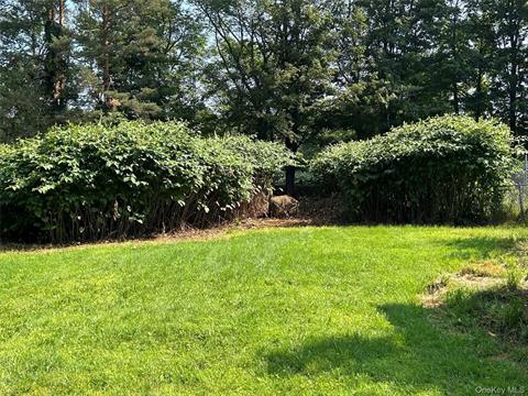 Yard