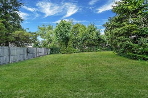 Yard