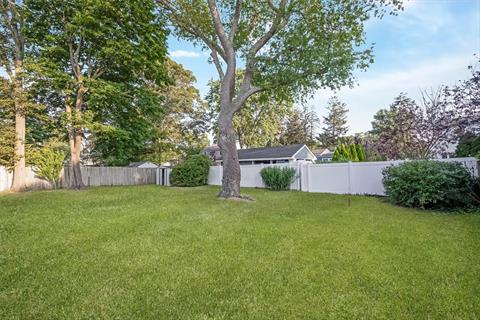 Yard
