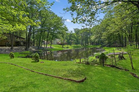 Pond