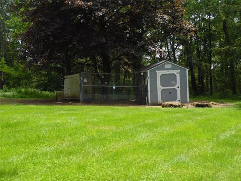 Yard