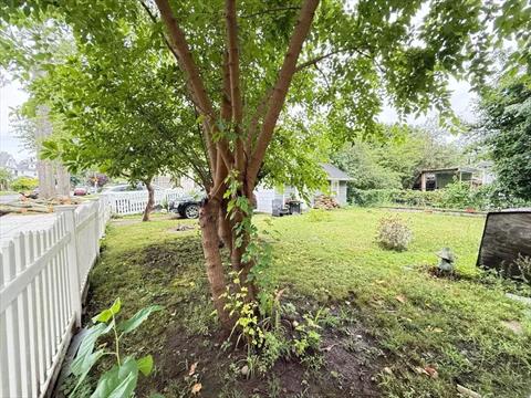 Yard