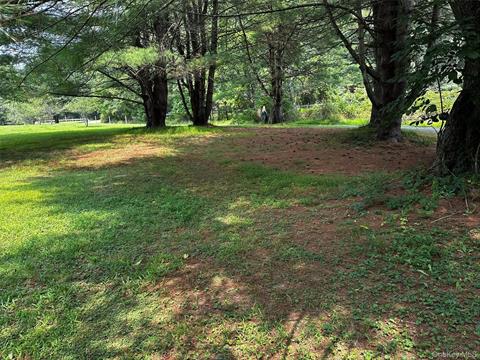 Yard