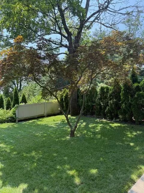 Yard