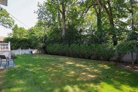 Yard