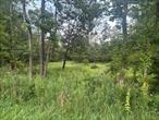 Discover the perfect opportunity to build your dream home on this serene and private 1.4 acre wooded parcel, located on Cragsmoor Road just off Route 52 in the charming and historic hamlet of Cragsmoor, atop the scenic Shawangunk Ridge.This property is zoned RH (Ridge Hamlet District, zoning chart included in the documents). Road frontage on Cragsmoor Road. Enjoy being less than five minutes from the breathtaking Samâ€™s Point Preserve, Verkeerder Kill Falls and the Ice Caves. Explore all that the Hudson Valley has to offer - wineries, breweries, shops, restaurants, farmers markets and miles of hiking and climbing trails.Located within the Ellenville School District and just a short drive to Pine Bush, Ellenville, New Paltz, and the Mohonk Preserve, this property offers both convenience and seclusion. Only two hours from New York City, this is the perfect location for a full-time home or a weekend getaway.An adjacent 2.0 acre parcel with a Red Barn/Garage (MLS#891523) is also available, offering potential for expanded living space or investment opportunities.For more information or to schedule a private showing, please contact:Diana Ryan-Assatly, Curasi Realty,  917-617-2017