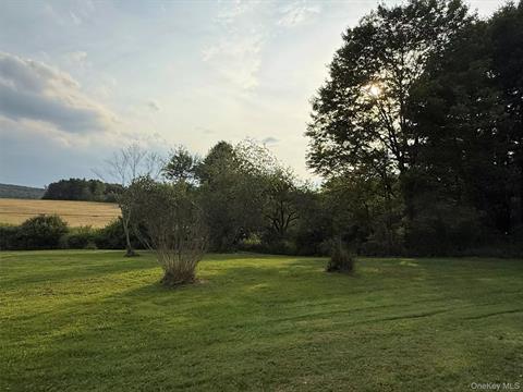 Yard