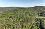 In the heart of the southern Catskills, the Beaverkill Valley has long been celebrated for its pristine forests, crystal-clear waters, and storied trout streams. To describe this land as rare is no exaggerationâ€”146 acres here is nothing short of a generational opportunity.The propertyâ€™s approach is directly across from the Beaverkill Campground and only a short stroll from the historic Beaverkill Covered Bridge, where a beloved swimming hole glimmers beneath the span. The surrounding landscape is pure Catskills: rolling foothills, 19th-century homesteads with timeless charm, and the quiet rhythm of fly fishers casting into world-famous waters.Of the 146 acres, 25 are excluded from the current 480a forest program, providing an ideal site for a future home while the remainder continues to benefit from reduced taxes and long-term forest stewardship. The land is currently leased to a hunting club through 2032.This is more than a piece of landâ€”itâ€™s a chance to put down roots in one of the most beautiful valleys in New York State, a place where history, recreation, and natural beauty flow together as effortlessly as the river itself.