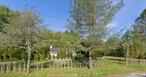Welcome this charming single-family home set on nearly 9 acres of beautiful, open land. Offering 1, 341 square feet of living space, this well-kept home features 3 spacious bedrooms and 1-1/2 bathrooms, blending comfort with the tranquility of country living. Whether you&rsquo;re looking for a full-time residence, a weekend getaway, or a property with room to expand, this home delivers space, privacy, and endless potential. Enjoy the best of the Catskills with wide-open skies, natural surroundings, and convenient access to nearby towns and attractions.