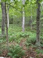 Surrounded by state land, this wooded 2 acres is ready for you to enjoy. Trees, ferns , a seasonal stream, and rocks outcroppings all could be yours. Put a camper on it - go old school and build an outhouse or your dream home. Close to hiking, swimming, nature.