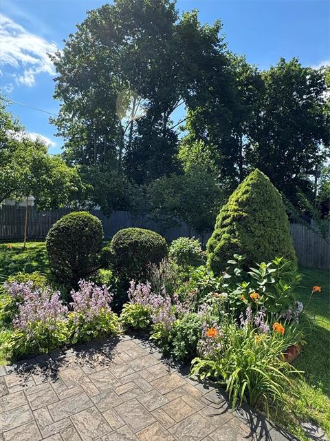 Yard