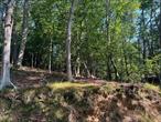 Wonderful 0.47 acre parcel of vacant land in the Oak Hills section of Calverton. Close to the Boy Scout Camp. Possible Winter Water views if adding a second story! Beach Rights, Private Beach Association!