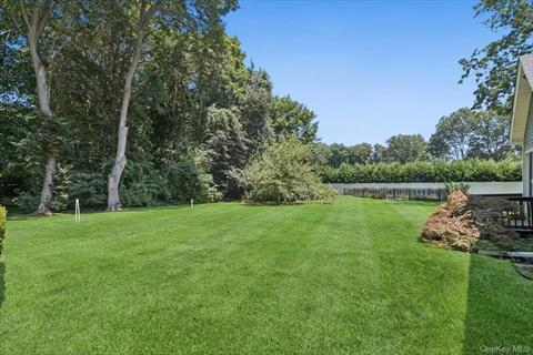 Yard