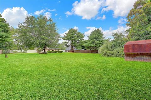 Yard