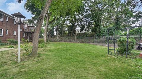 Yard