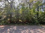One Of The Last Beautiful Parcels Of Land Left In The West Tangier&rsquo;s Section Of Shirley! Enjoy A Flat, Level, & Wooded Lot, With A Quiet Privacy That Is Second To None! 110&rsquo;x150&rsquo; +/- Sized Lot, Located Close To Schools, Beaches, Shopping, Mass Transit, & The Wertheim National Wildlife Refuge!