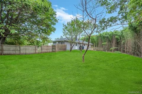 Yard